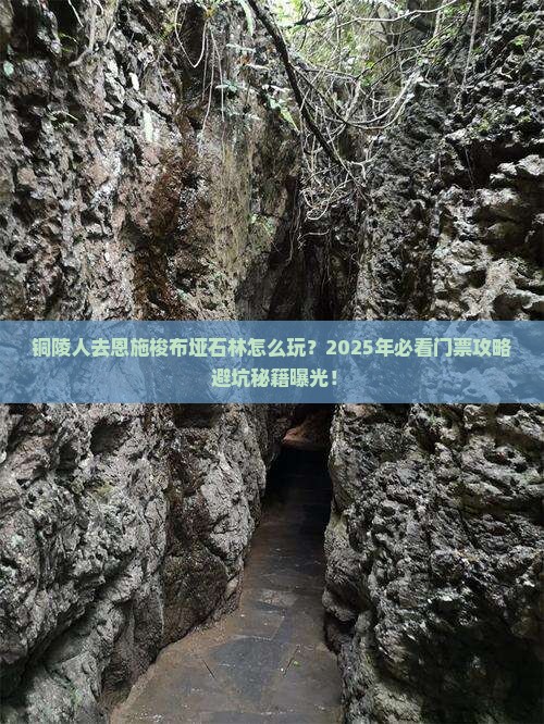 铜陵去恩施梭布垭石林门票