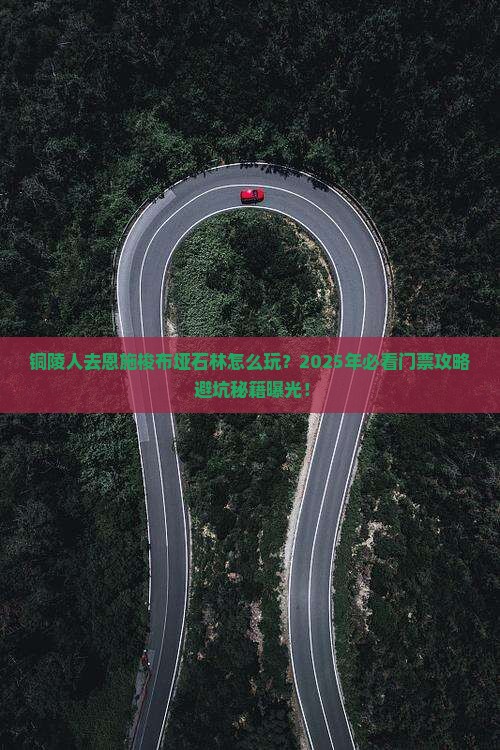 铜陵去恩施梭布垭石林门票