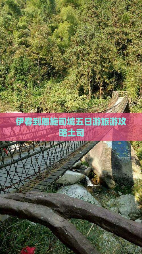 伊春到恩施土司城五日游