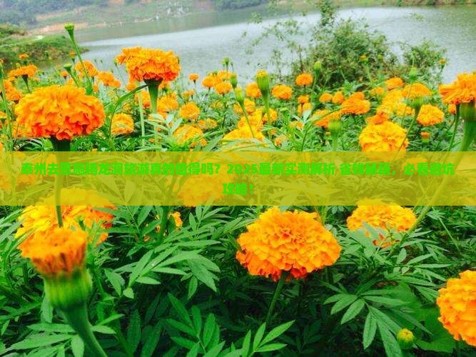 泰州去恩施腾龙洞旅游