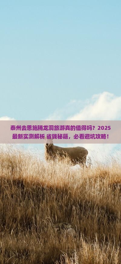 泰州去恩施腾龙洞旅游