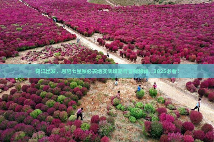 阳江去恩施七星寨必去地