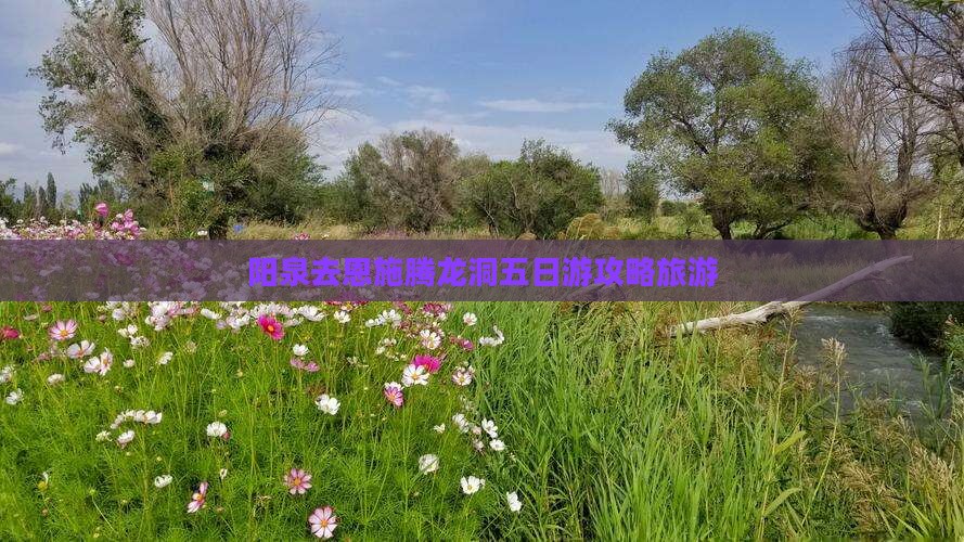 阳泉去恩施腾龙洞五日游