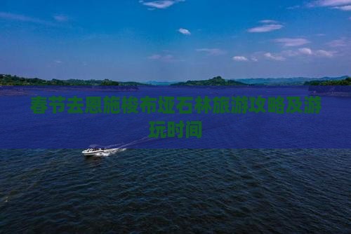 春节去恩施梭布垭石林旅游