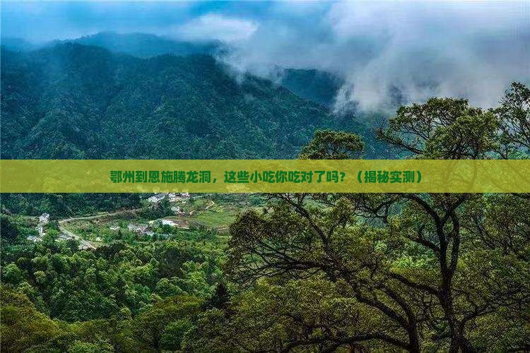 鄂州到恩施腾龙洞旅游小吃