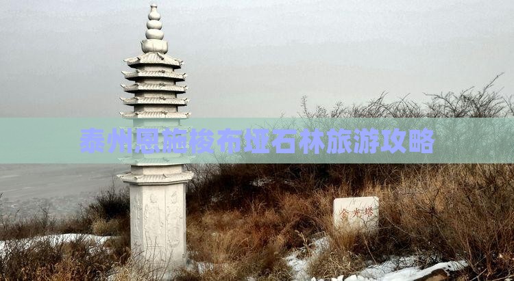 泰州去恩施梭布垭石林大型旅游团