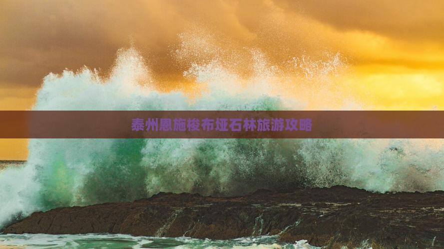 泰州去恩施梭布垭石林大型旅游团