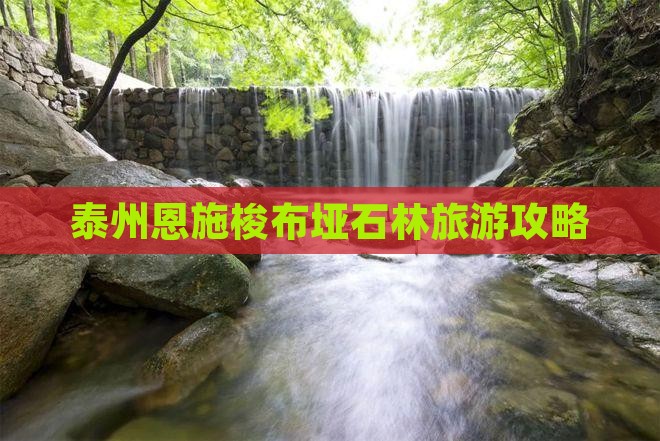 泰州去恩施梭布垭石林大型旅游团