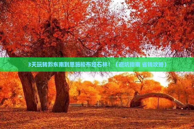 黔东南到恩施梭布垭石林必去地