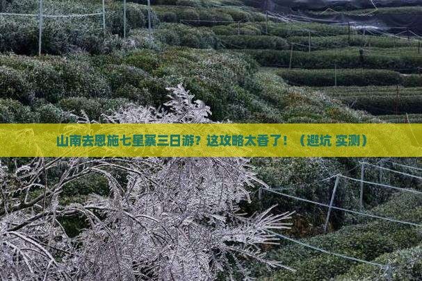 山南去恩施七星寨三日游