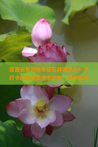 定西去恩施梭布垭石林哪里玩