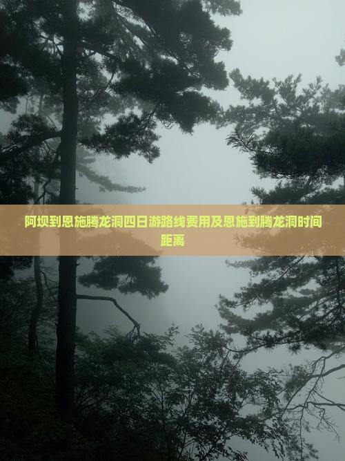 阿坝到恩施腾龙洞四日游