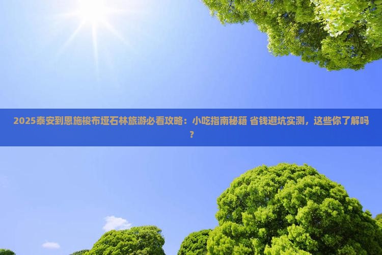 泰安到恩施梭布垭石林旅游小吃