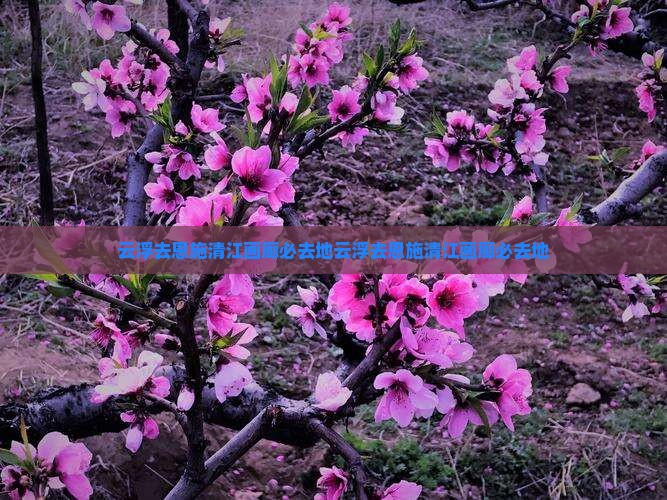 云浮去恩施清江画廊必去地