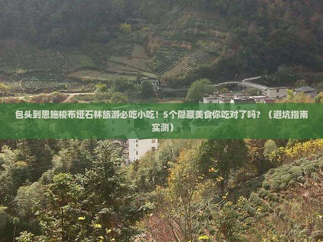 包头到恩施梭布垭石林旅游小吃
