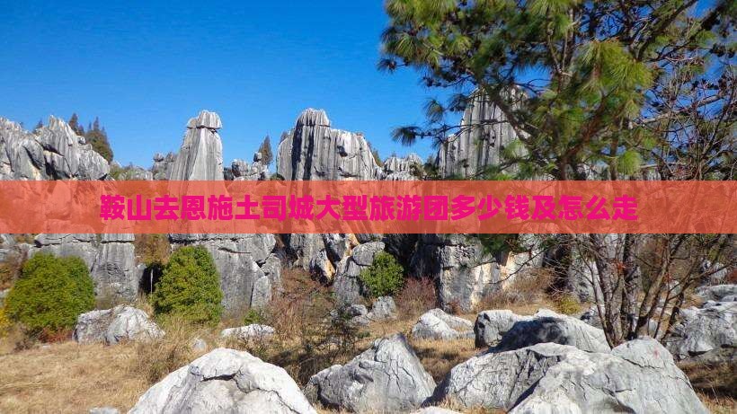 鞍山去恩施土司城大型旅游团