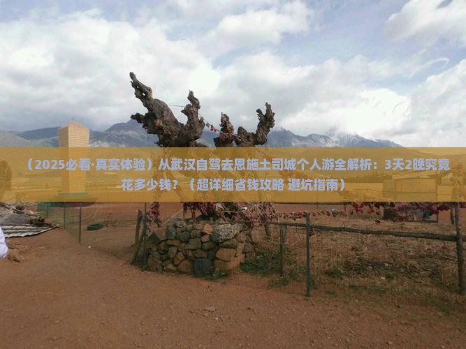 武汉去恩施土司城个人游