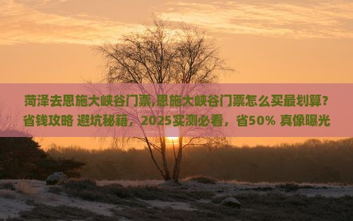 菏泽去恩施大峡谷门票