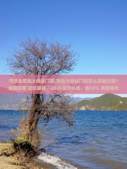 菏泽去恩施大峡谷门票