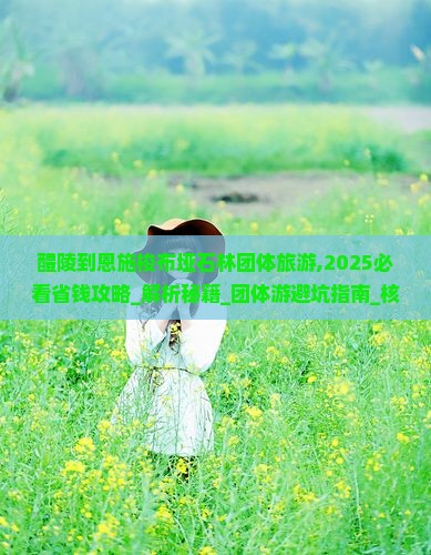 醴陵到恩施梭布垭石林团体旅游
