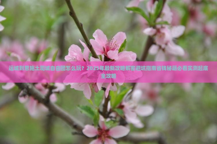 运城到恩施土司城自由团