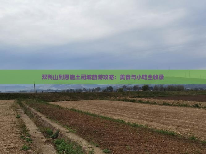 双鸭山到恩施土司城旅游小吃