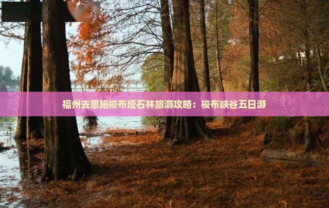 福州去恩施梭布垭石林五日游