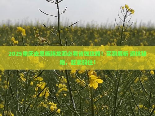 重庆去恩施腾龙洞攻略