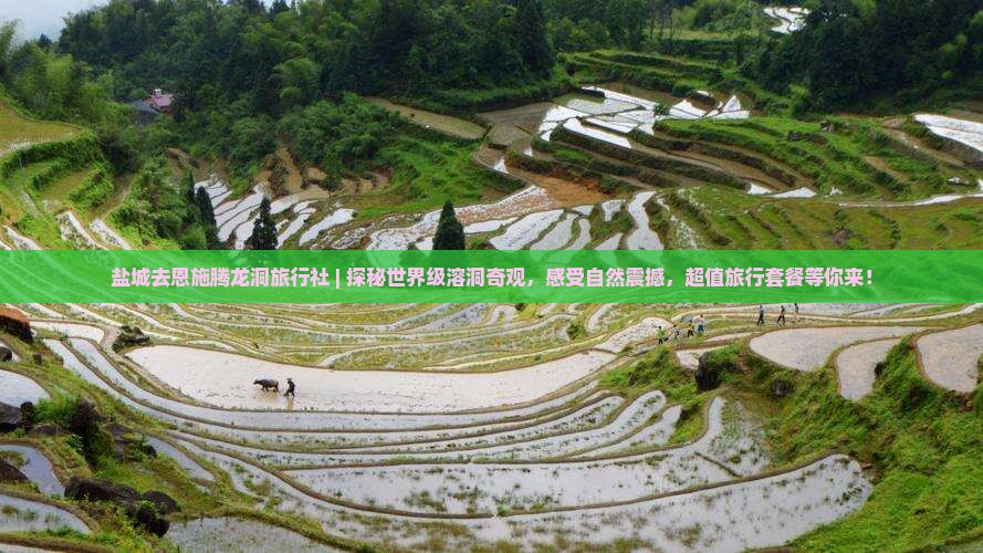 盐城去恩施腾龙洞旅行社