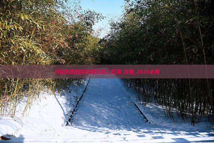 许昌到恩施梭布垭石林二日游