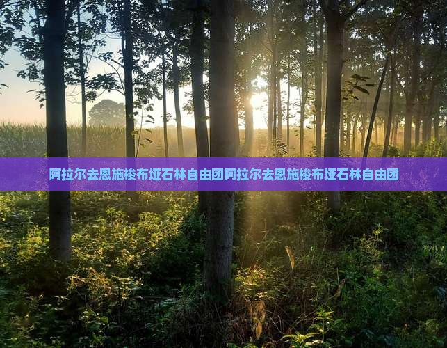 阿拉尔去恩施梭布垭石林自由团