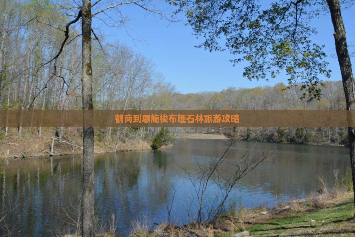 鹤岗到恩施梭布垭石林自由团