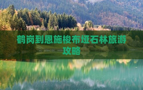 鹤岗到恩施梭布垭石林自由团