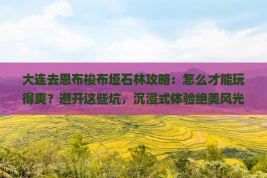 大连去恩施梭布垭石林攻略