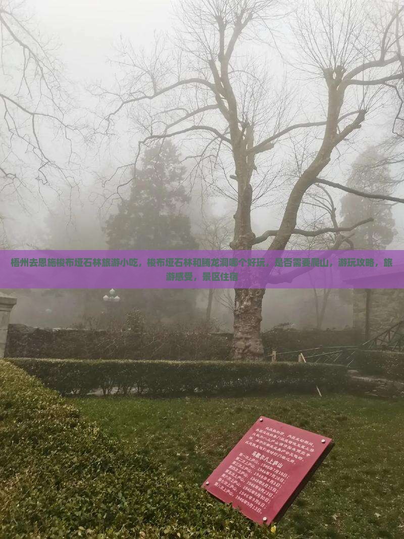 梧州去恩施梭布垭石林旅游小吃