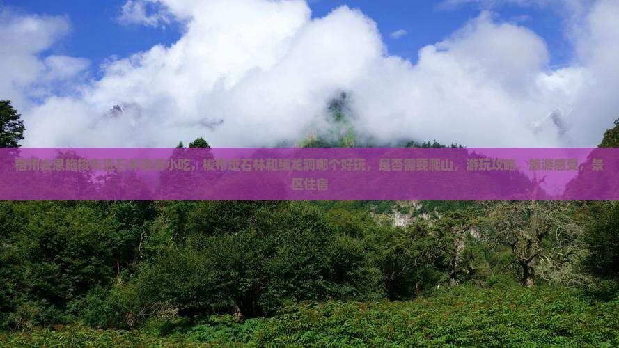 梧州去恩施梭布垭石林旅游小吃