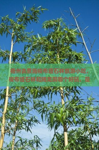 梧州去恩施梭布垭石林旅游小吃