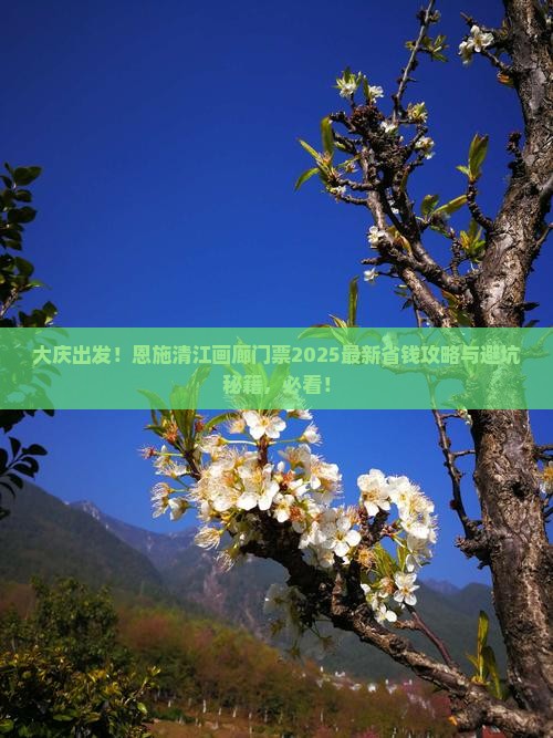 大庆到恩施清江画廊门票