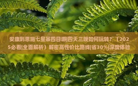 安康到恩施七星寨四日游