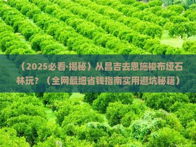 昌吉去恩施梭布垭石林景点