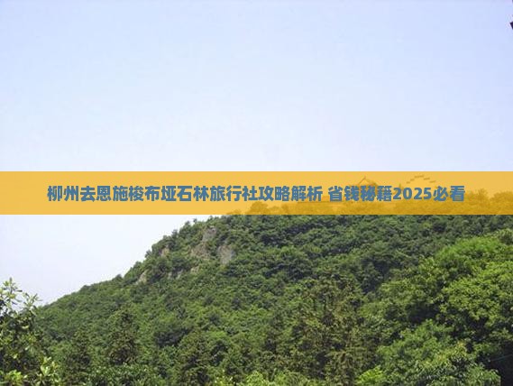 柳州去恩施梭布垭石林旅行社