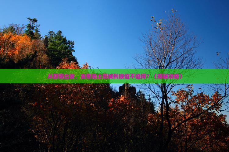 邵阳去恩施土司城景点 邵阳去恩施土司城景点