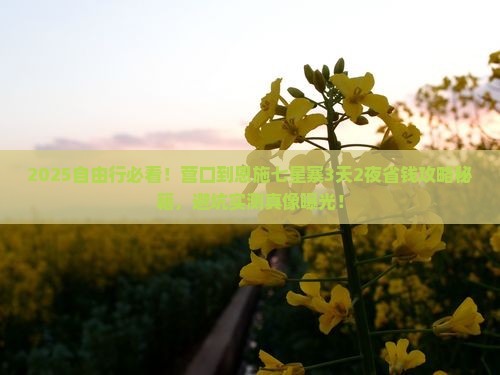 营口到恩施七星寨自由行