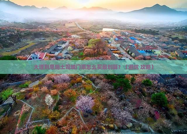 大理到恩施土司城门票