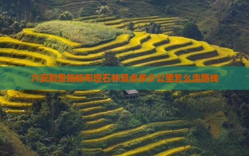 六安到恩施梭布垭石林景点