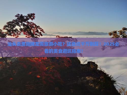 汕头去恩施腾龙洞旅游小吃