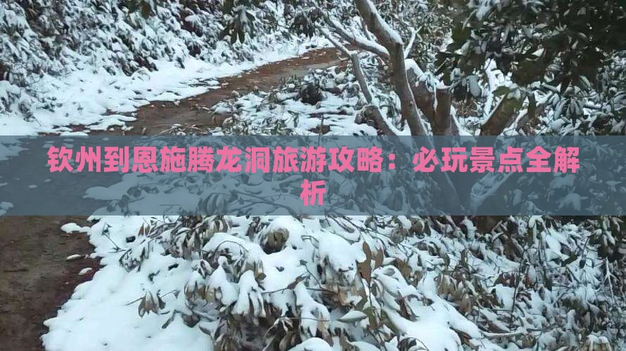 钦州到恩施腾龙洞哪里玩