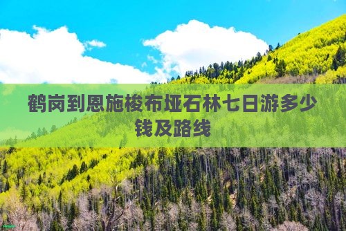 鹤岗到恩施梭布垭石林七日游