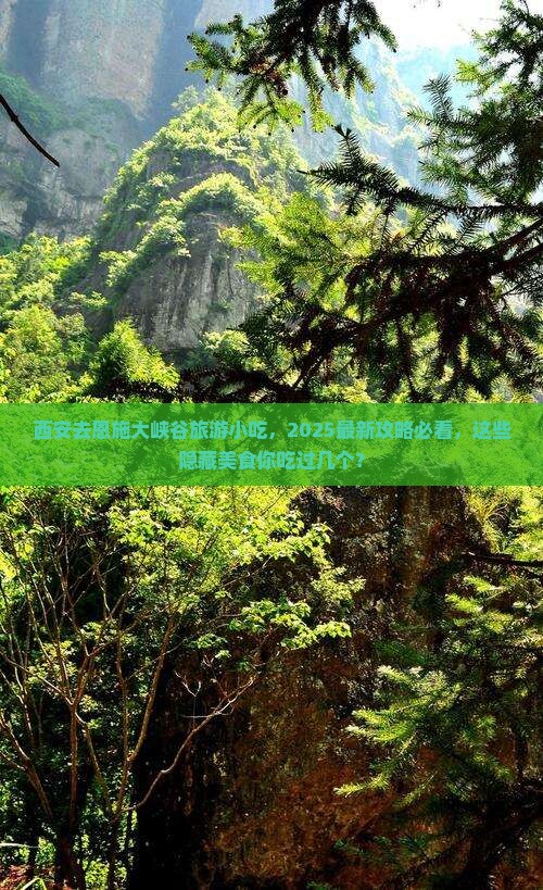 西安去恩施大峡谷旅游小吃