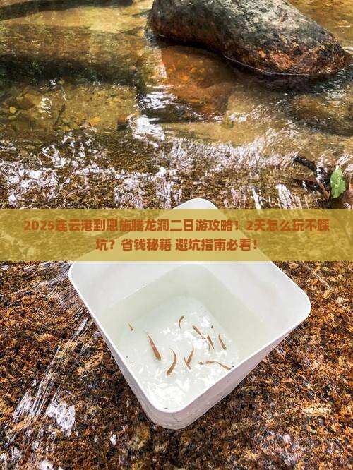 连云港到恩施腾龙洞二日游